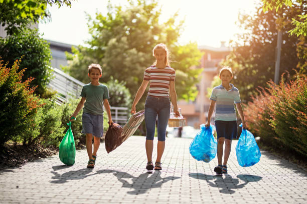 Yard Cleanup Services in Ely, MN